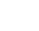Bobcat